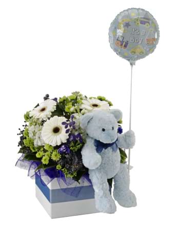 Itâ€™s a Boy!